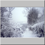 Fife Coastal Path in the Snow.jpg